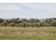 . BALONNE HWY, St George QLD 4487