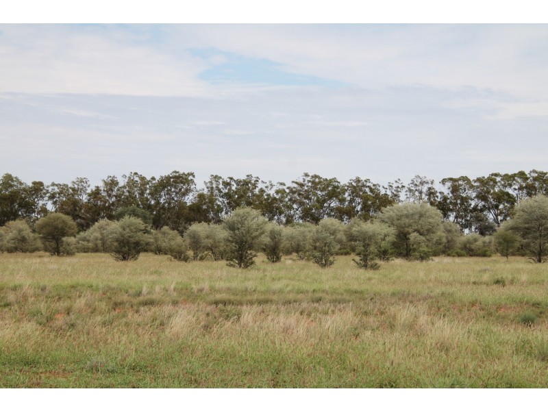 . BALONNE HWY, St George QLD 4487
