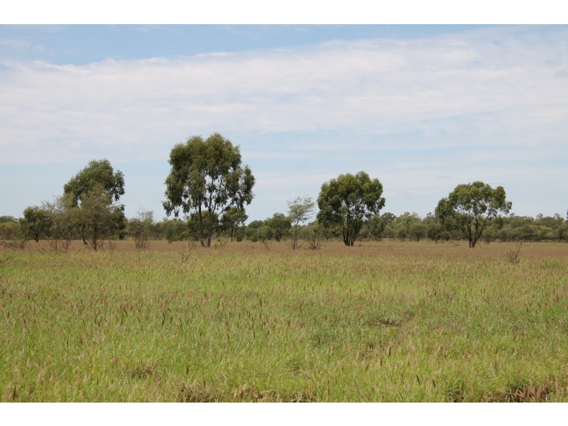 . BALONNE HWY, St George QLD 4487