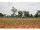 . BALONNE HWY, St George QLD 4487