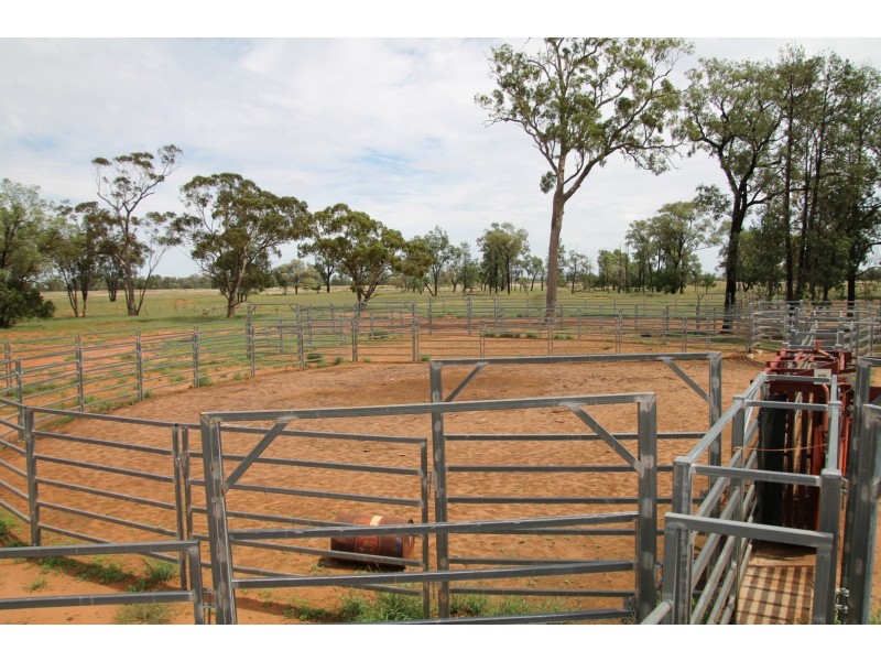 . BALONNE HWY, St George QLD 4487