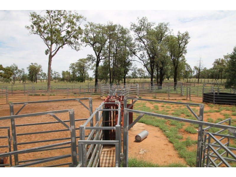 . BALONNE HWY, St George QLD 4487