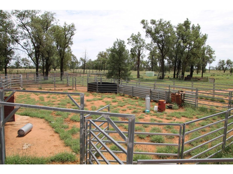 . BALONNE HWY, St George QLD 4487