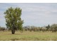 . BALONNE HWY, St George QLD 4487