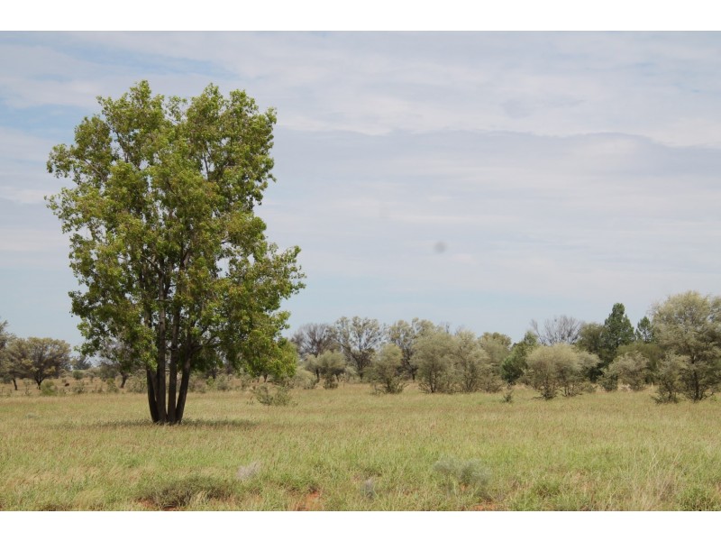 . BALONNE HWY, St George QLD 4487
