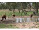 . BALONNE HWY, St George QLD 4487