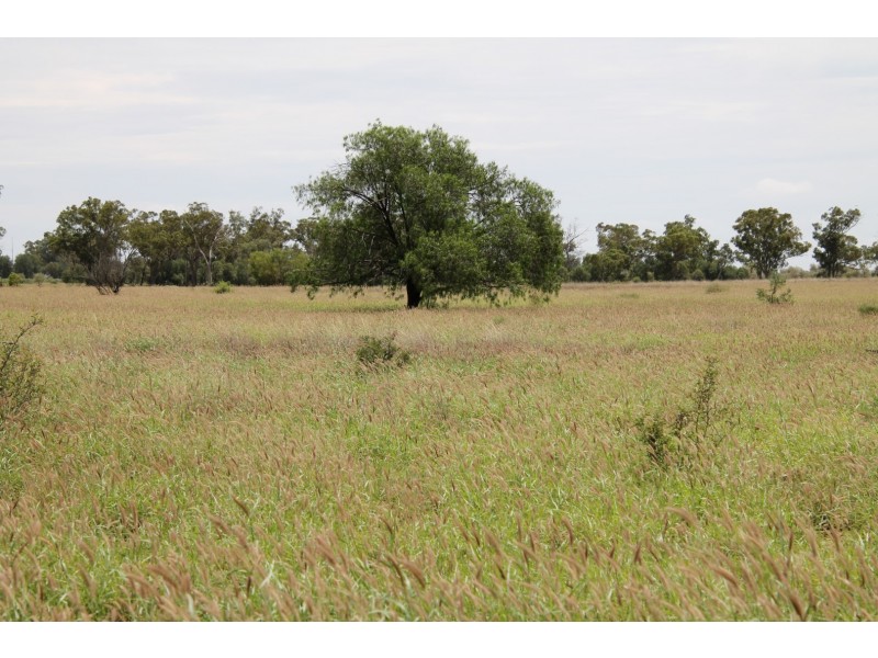 . BALONNE HWY, St George QLD 4487