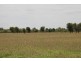 . BALONNE HWY, St George QLD 4487