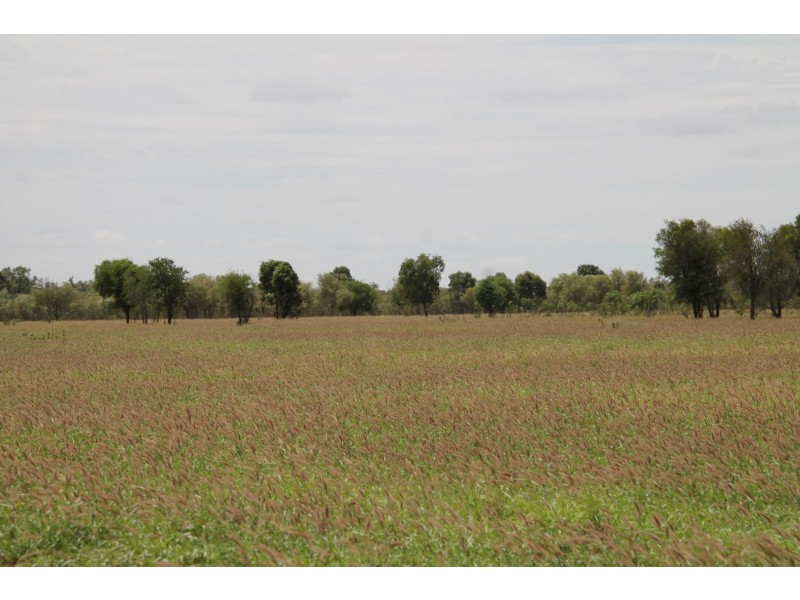 . BALONNE HWY, St George QLD 4487