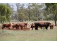 . BALONNE HWY, St George QLD 4487