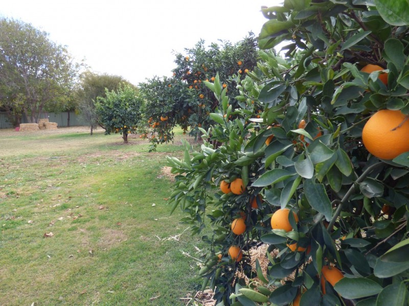 38-40 Turvey Court, St George QLD 4487