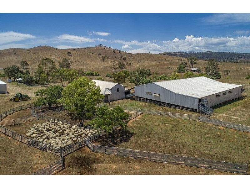 2755 Triamble Road, Triamble NSW 2850
