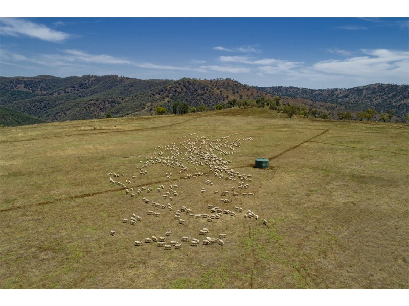 2755 Triamble Road, Triamble NSW 2850