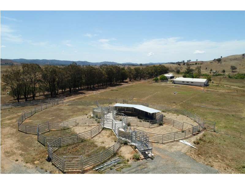 2755 Triamble Road, Triamble NSW 2850