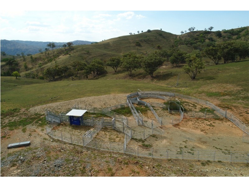 2755 Triamble Road, Triamble NSW 2850