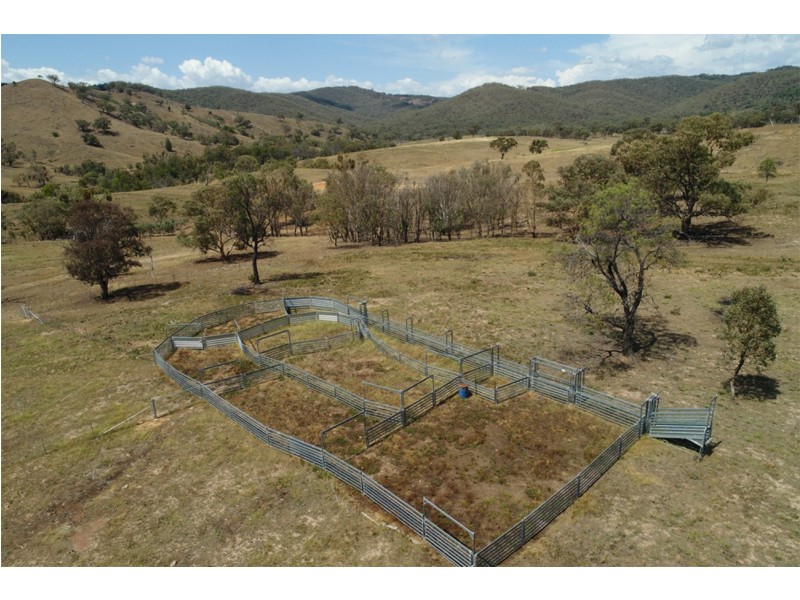2755 Triamble Road, Triamble NSW 2850