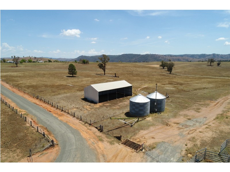 2755 Triamble Road, Triamble NSW 2850