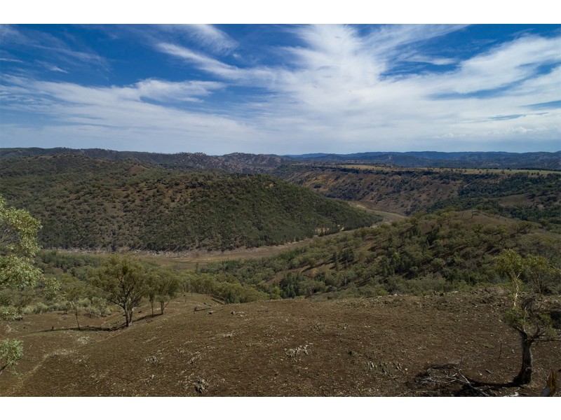 2755 Triamble Road, Triamble NSW 2850