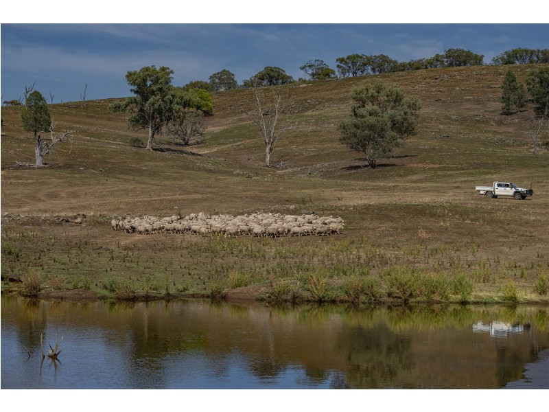 2755 Triamble Road, Triamble NSW 2850