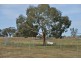 2755 Triamble Road, Triamble NSW 2850