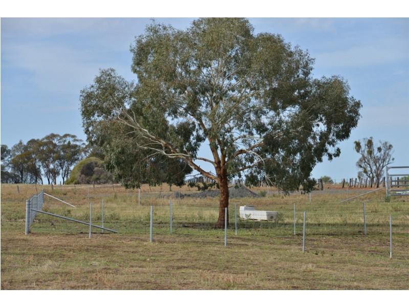 2755 Triamble Road, Triamble NSW 2850