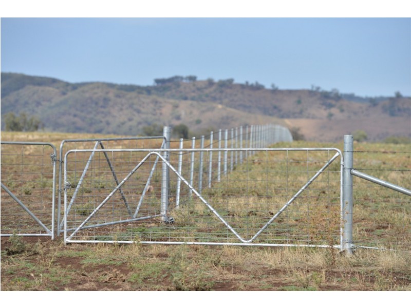 2755 Triamble Road, Triamble NSW 2850