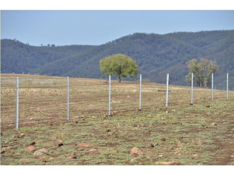 2755 Triamble Road, Triamble NSW 2850