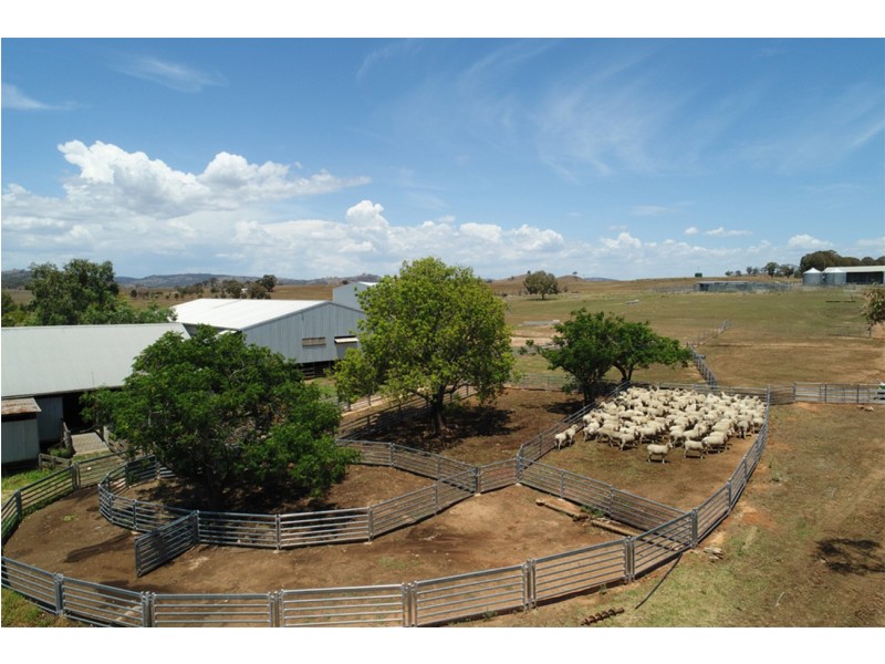 2755 Triamble Road, Triamble NSW 2850