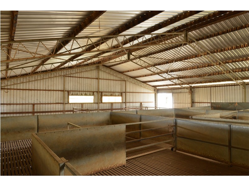 2755 Triamble Road, Triamble NSW 2850