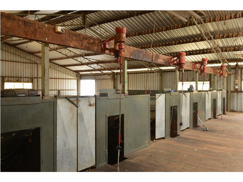 2755 Triamble Road, Triamble NSW 2850