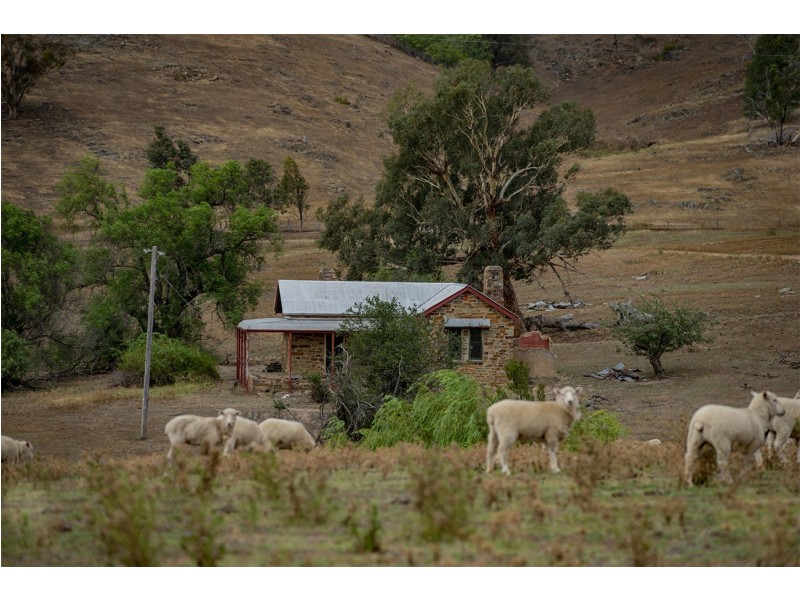 2755 Triamble Road, Triamble NSW 2850