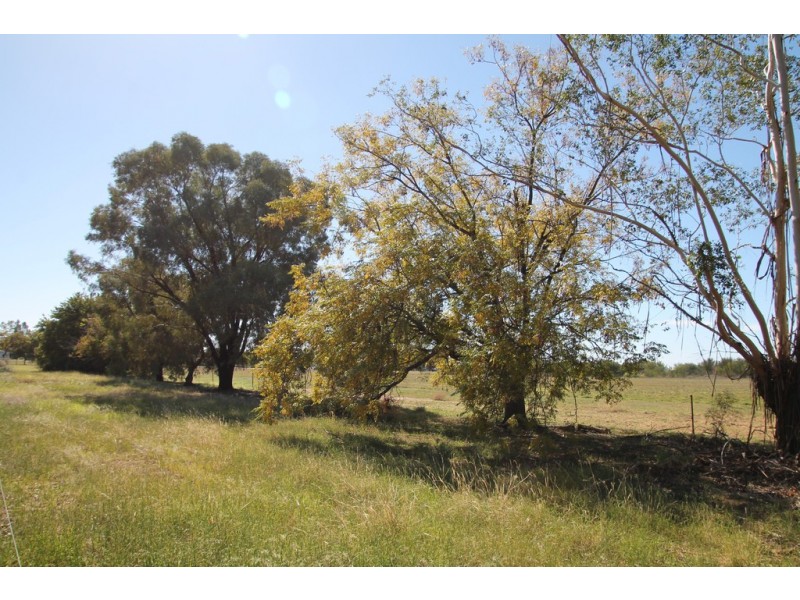 12002 Carnarvon Highway, St George QLD 4487