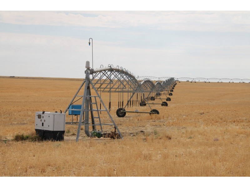 1293 Warkon Road, Warkon QLD 4417