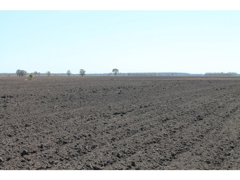 1293 Warkon Road, Warkon QLD 4417