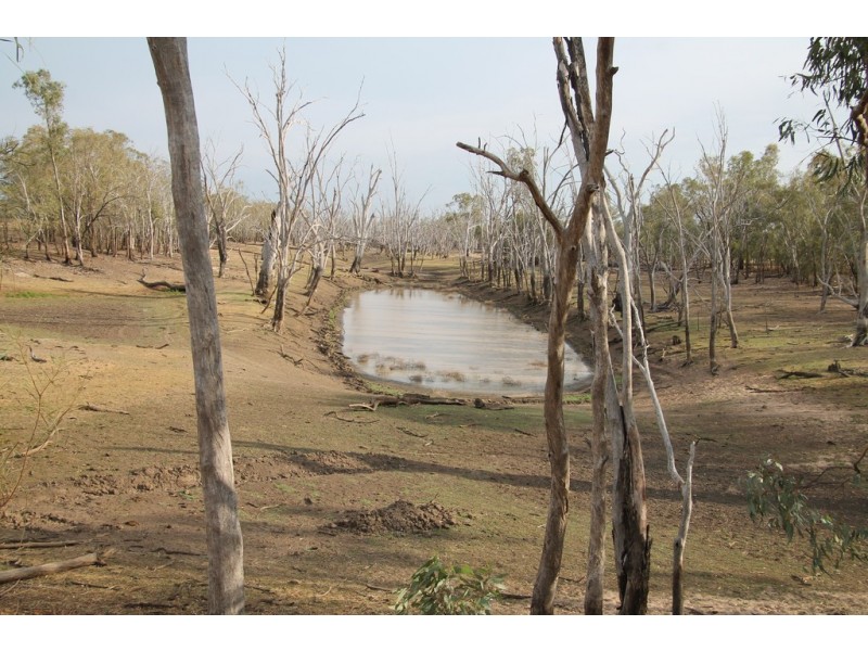 1293 Warkon Road, Warkon QLD 4417