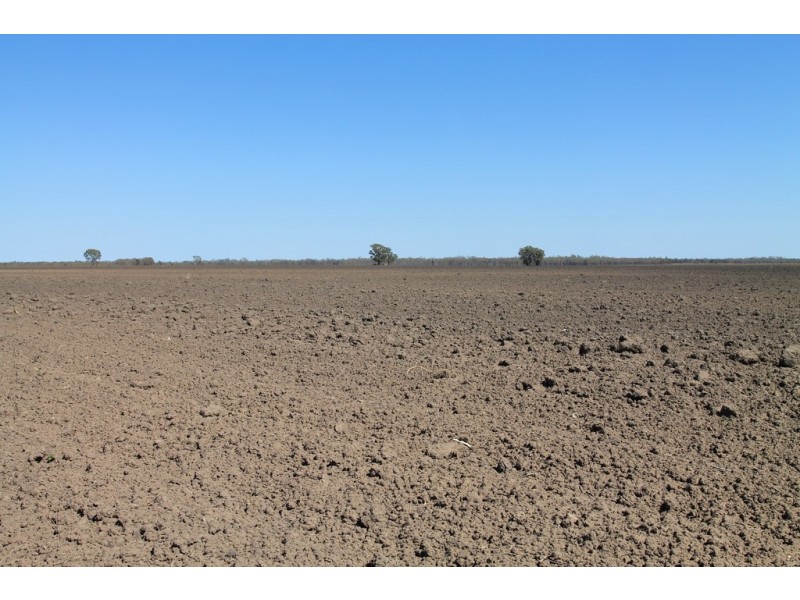 1293 Warkon Road, Warkon QLD 4417