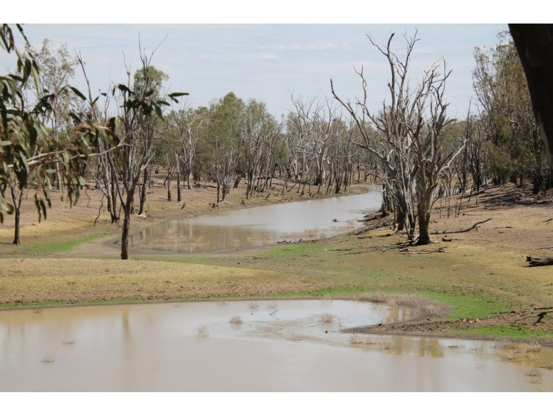 1293 Warkon Road, Warkon QLD 4417