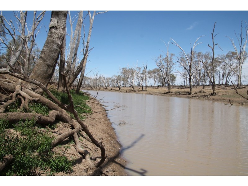 1293 Warkon Road, Warkon QLD 4417