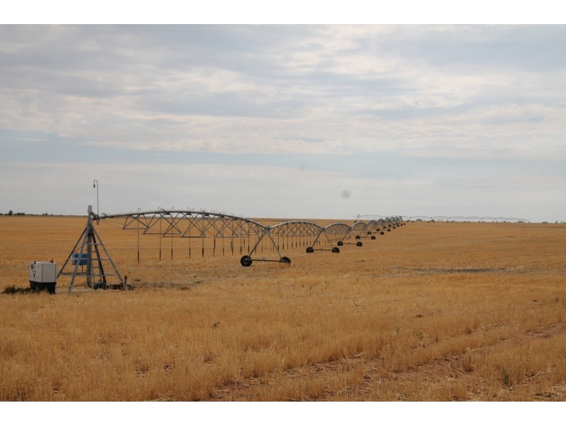 1293 Warkon Road, Warkon QLD 4417