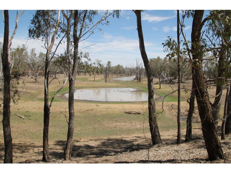 1293 Warkon Road, Warkon QLD 4417