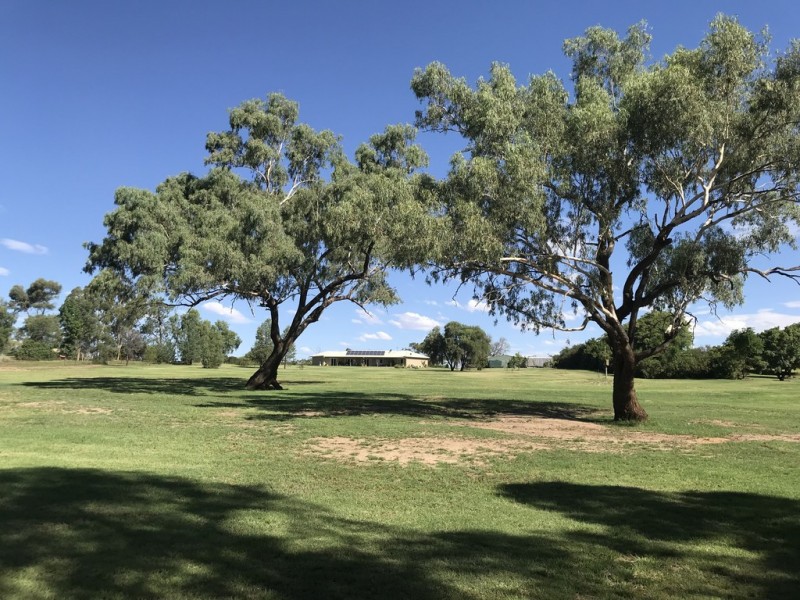 12585 CARNARVON HIGHWAY, St George QLD 4487