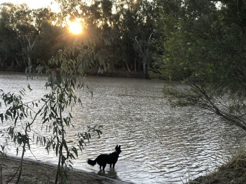 12585 CARNARVON HIGHWAY, St George QLD 4487