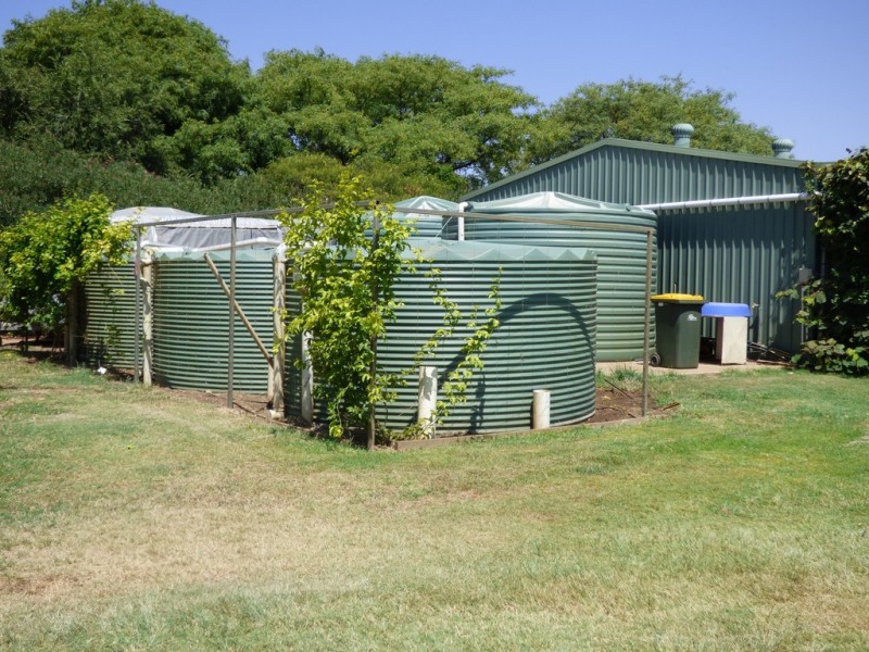 12585 CARNARVON HIGHWAY, St George QLD 4487