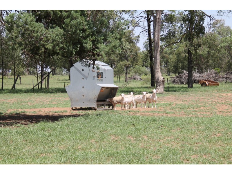 22 Johnston Road, St George QLD 4487