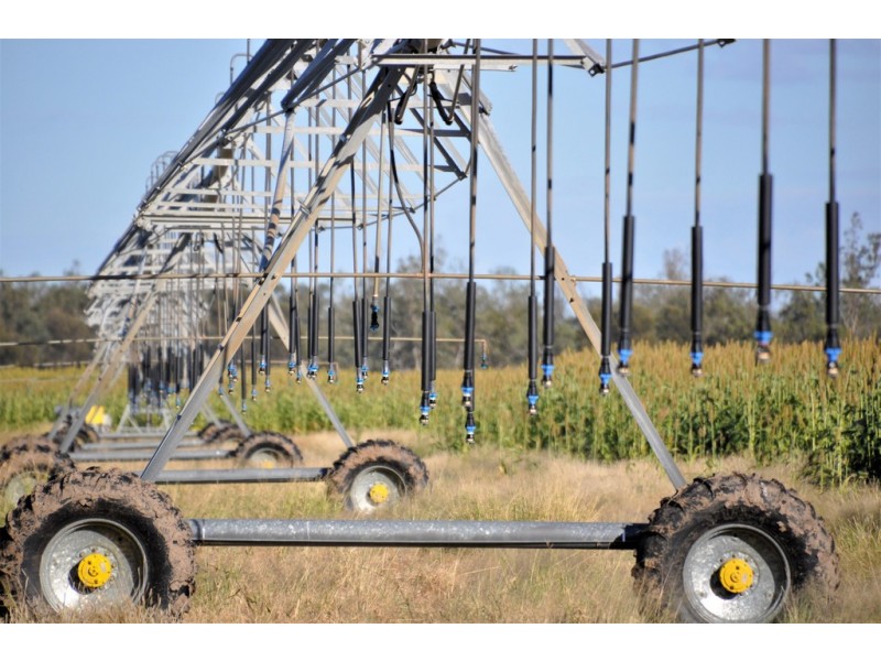 12543 Old Moonie Road, Westmar QLD 4422