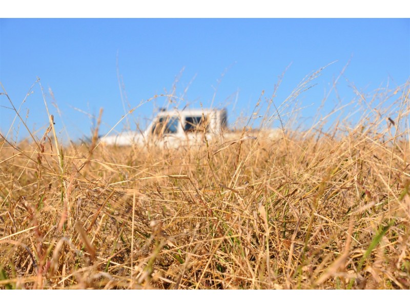 12543 Old Moonie Road, Westmar QLD 4422