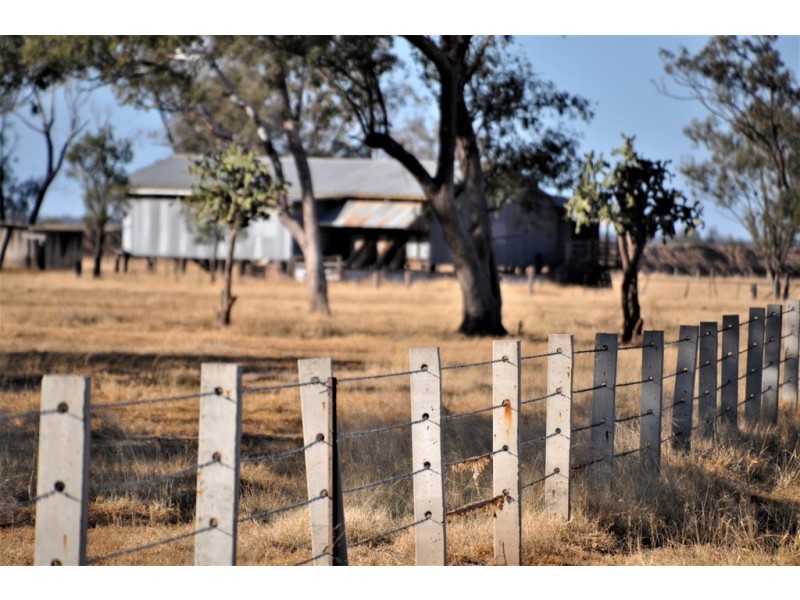 12543 Old Moonie Road, Westmar QLD 4422