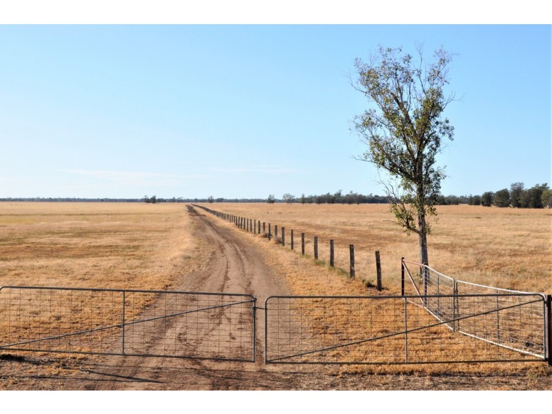 12543 Old Moonie Road, Westmar QLD 4422