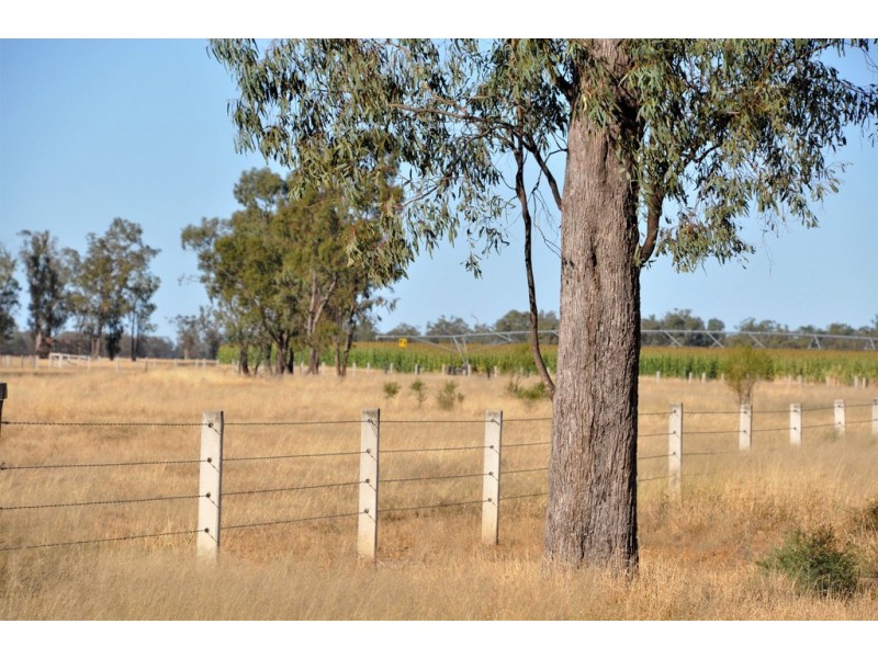 12543 Old Moonie Road, Westmar QLD 4422