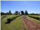 12309 Carnarvon Highway, St George QLD 4487